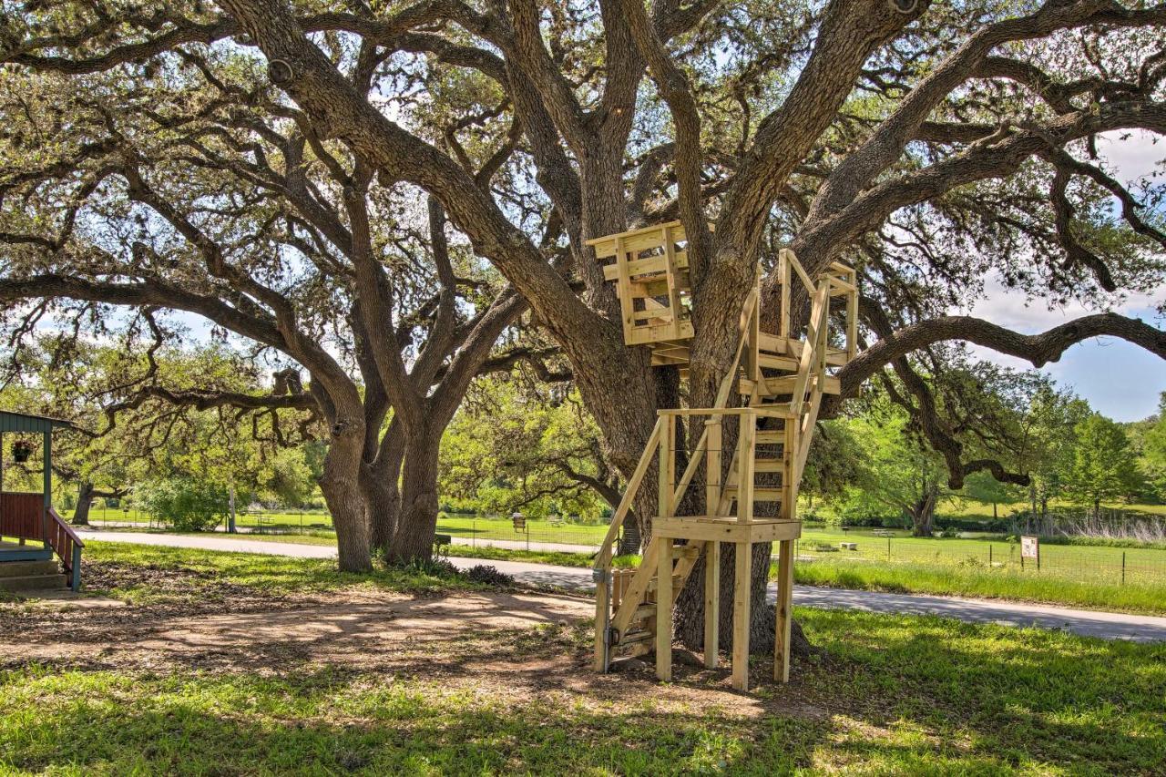 Betty Bs River House Less Than 1 Mi To Blanco State Park! Екстер'єр фото
